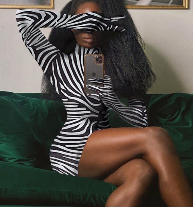 Wild Thing Zebra Print Dress