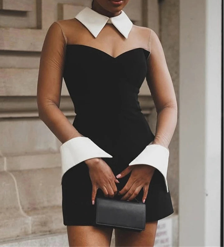 Hidden Figure Mesh Sleeve White Collar Dress